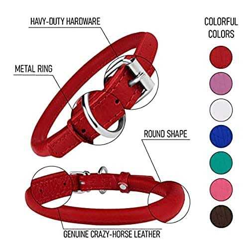 Rolled Leather Dog Collar with QR ID Dog Tag O49030