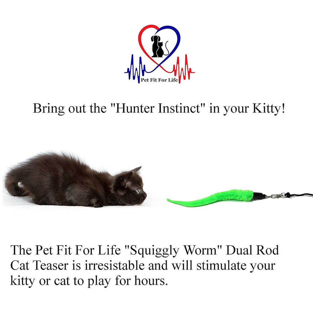 Cat Wand Toy 5-Piece Worm Teaser B921