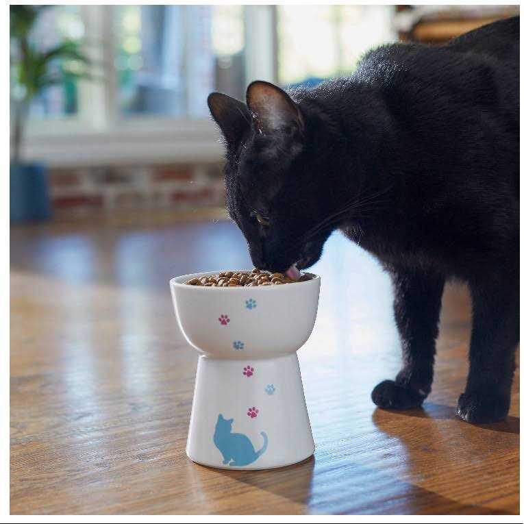 Elevated Cat Dish W90007