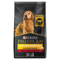 Complete Beef Adult Dry Dog Food F24070