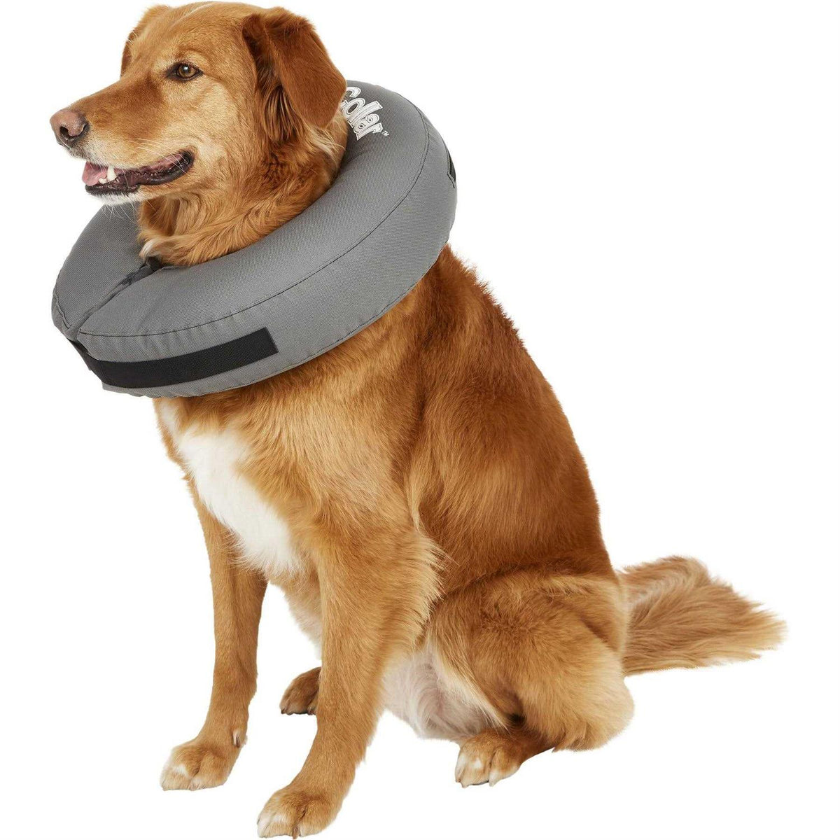 Inflatable Recovery Collar X7698