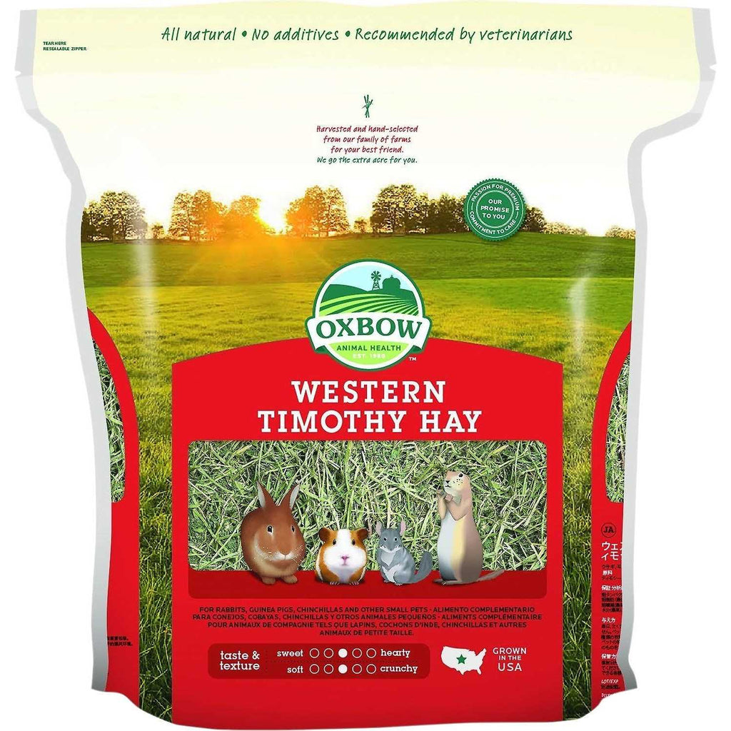 Western Timothy Hay Q36196