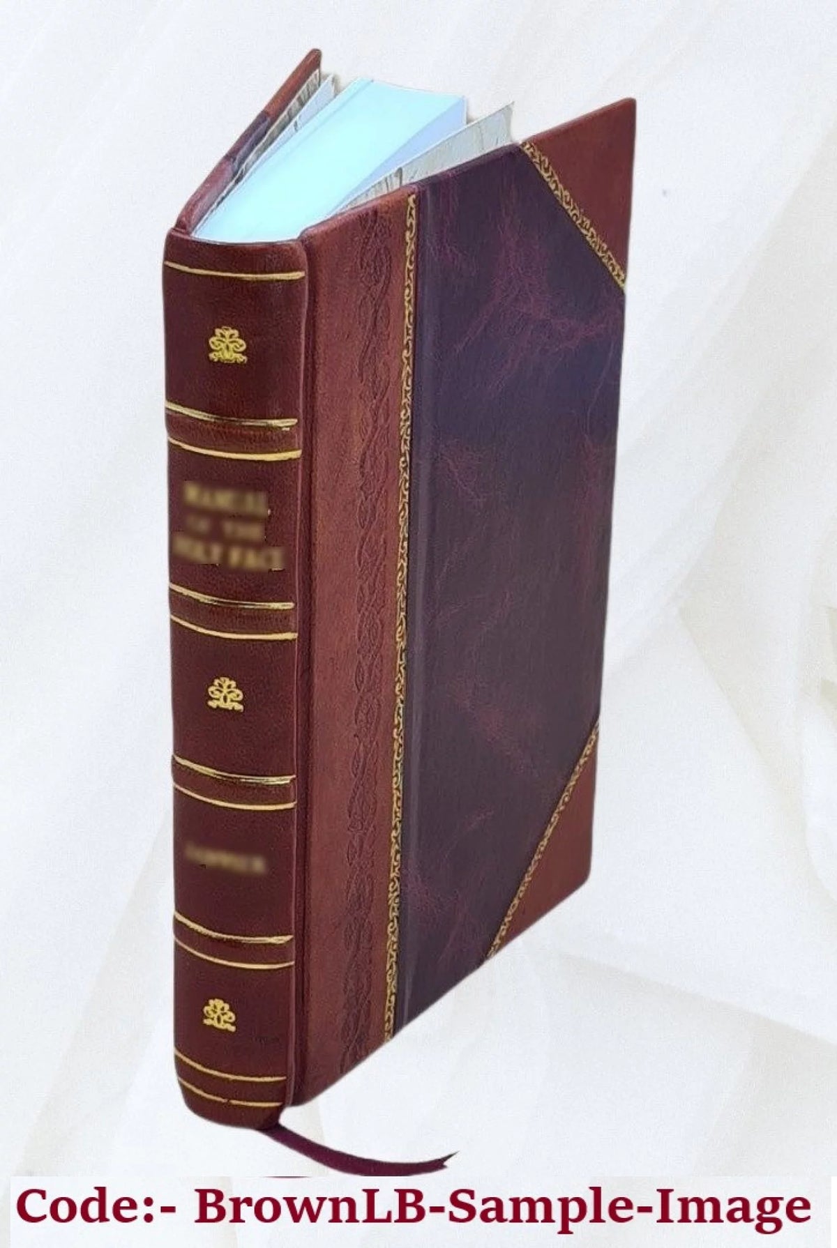 Novelle Leather Bound U296692