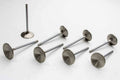 Exhaust Valve F3672