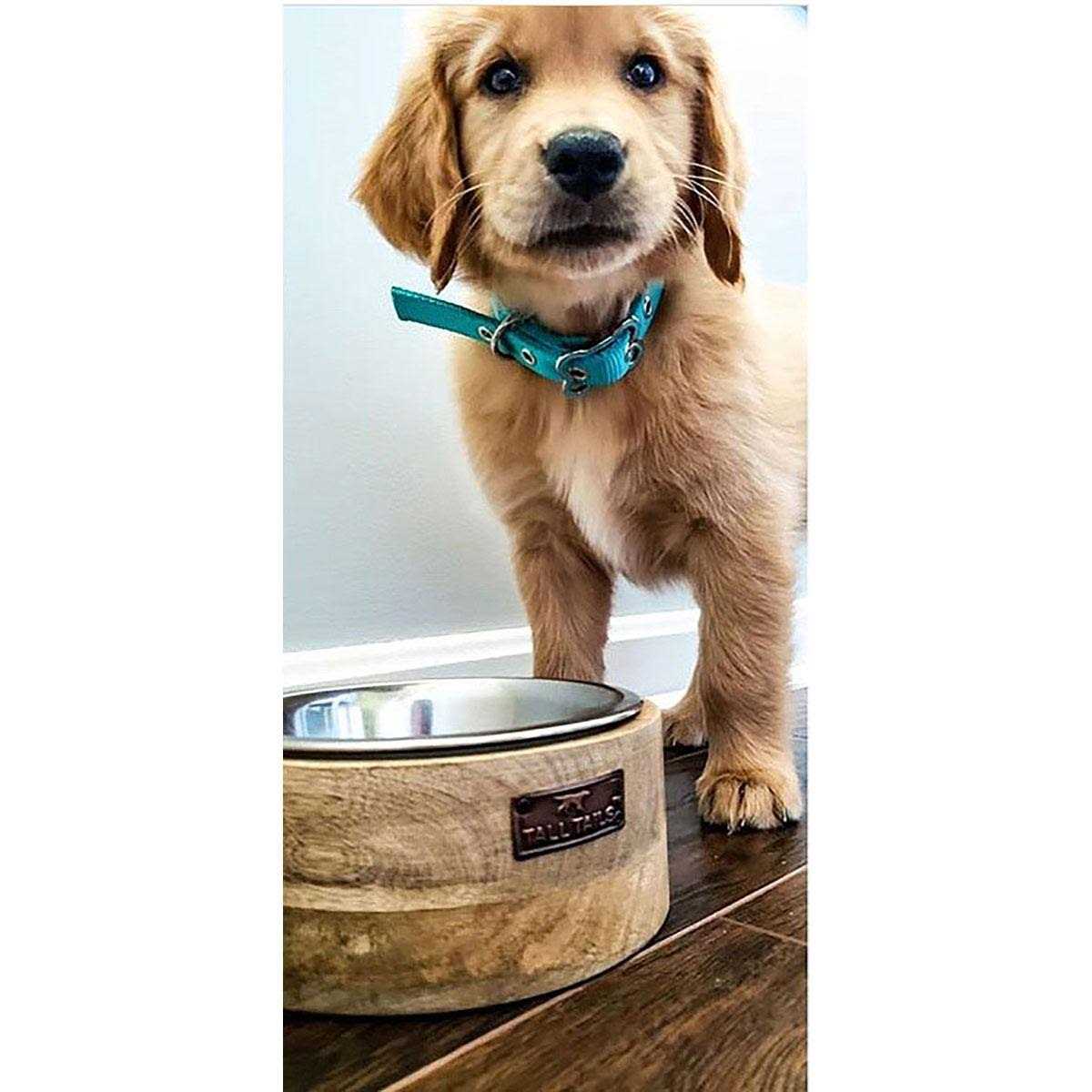 Wood Dog Bowl S185