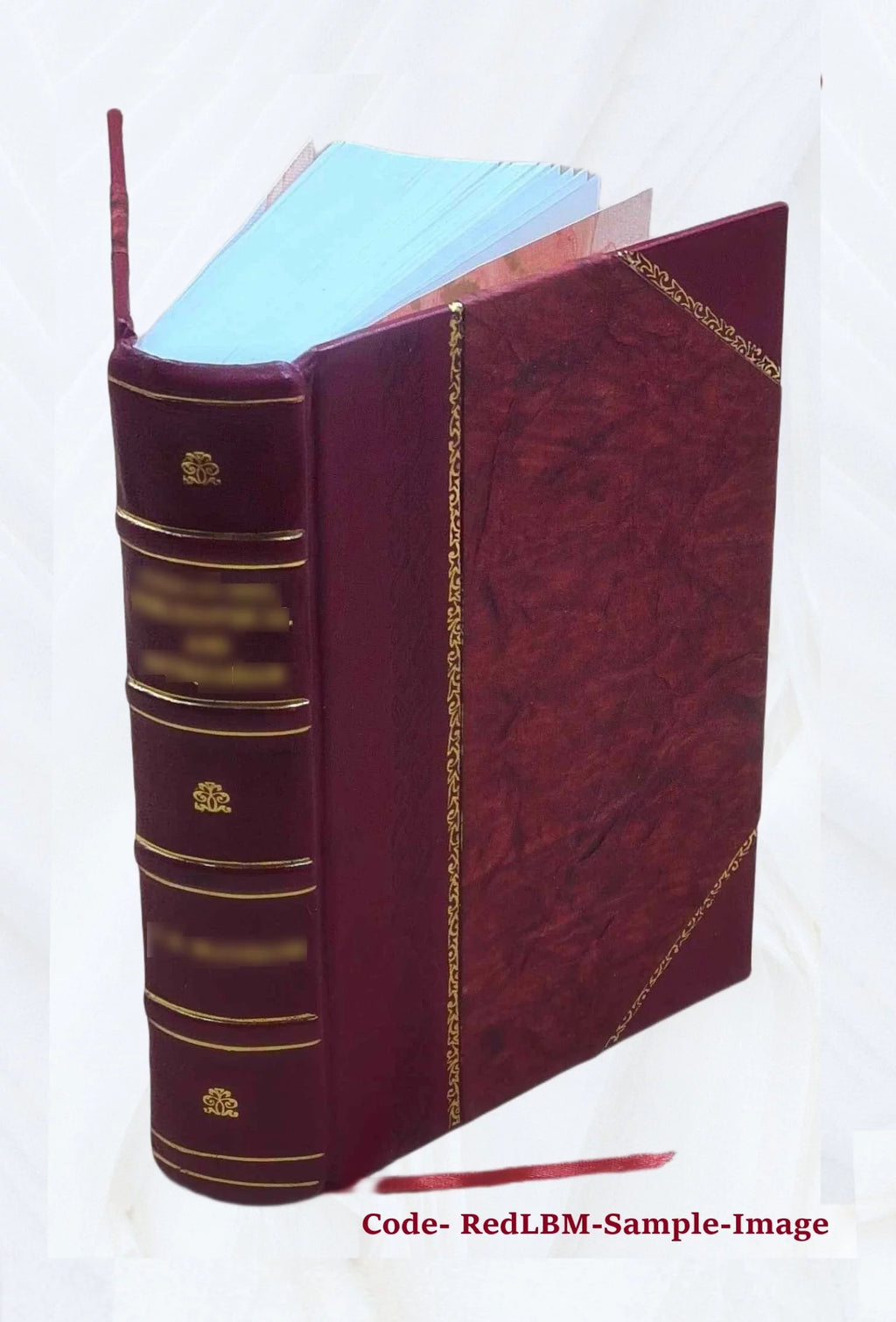 Leather Bound Furniture and furnishings F44348
