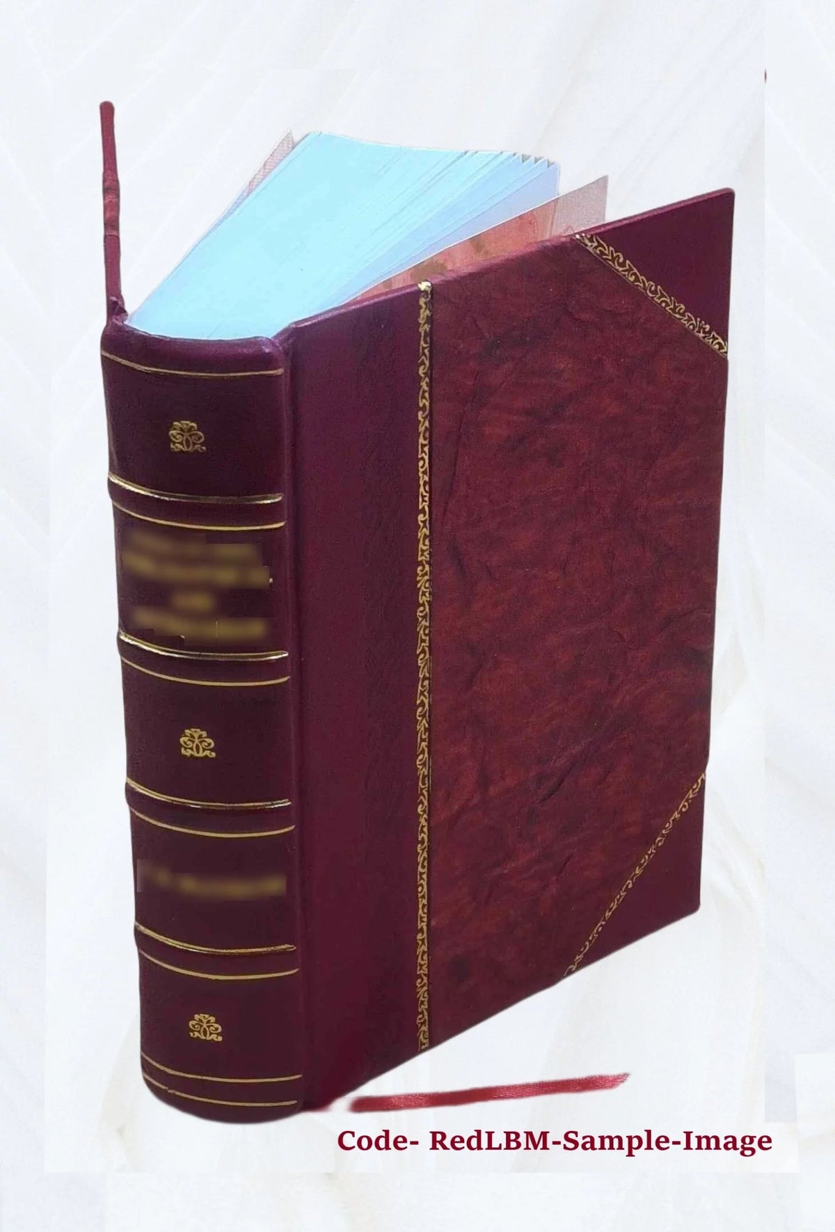 Leather Bound Furniture and furnishings F44348