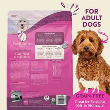 Grain Free Dry Dog Food Z321715