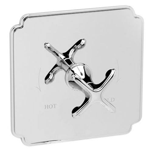 Uncoated Polished Brass Shower Trim Plate with Lever Handle U85077