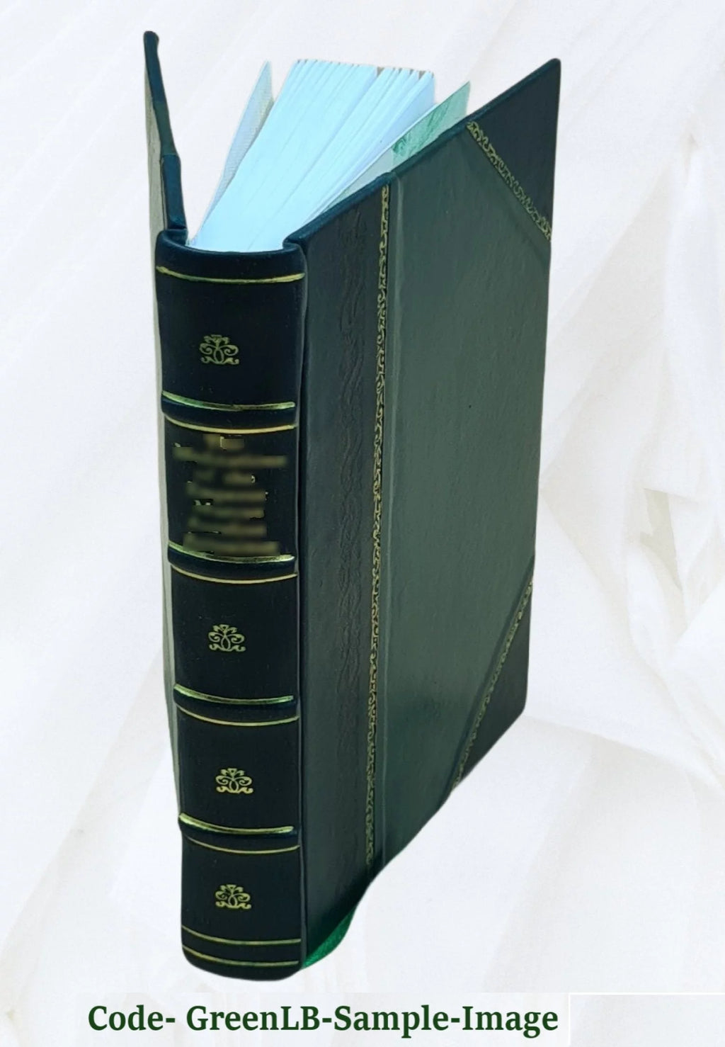 French Libraries Volume 5 Leather Bound J628
