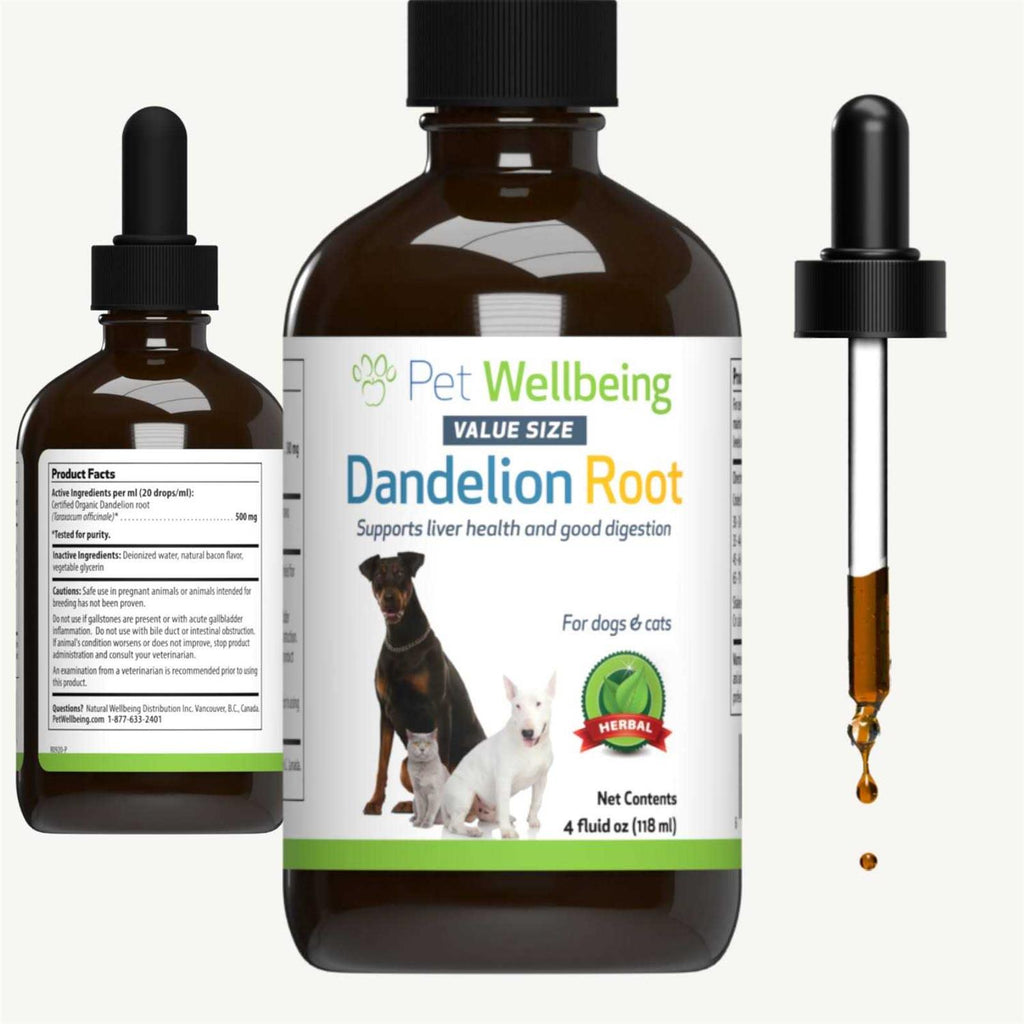 Dandelion Root Cat Liver and Digestive Support Y379
