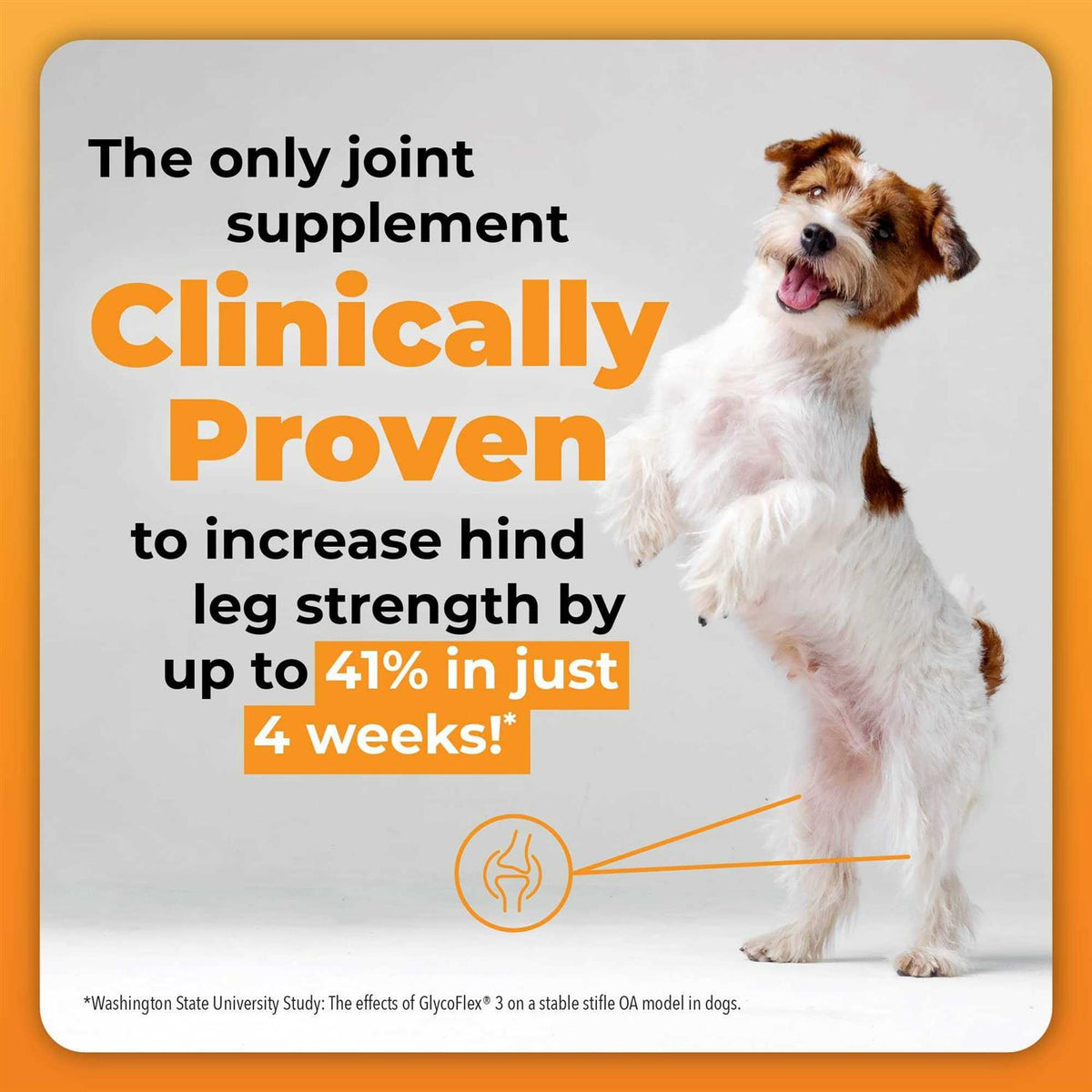 Joint Supplement for Small Dogs T7550