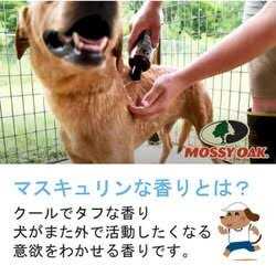 Dog Shampoo L831002
