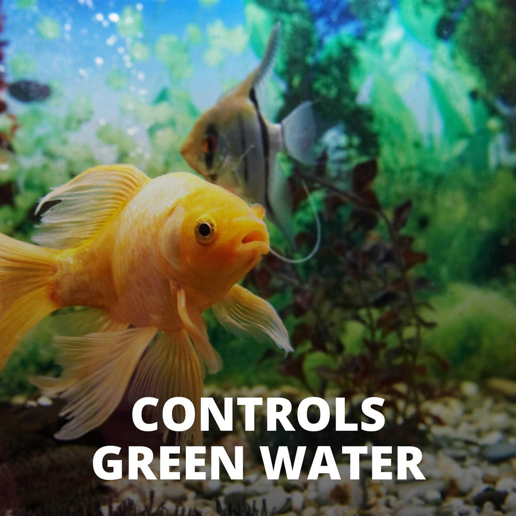 Algae Control A951011