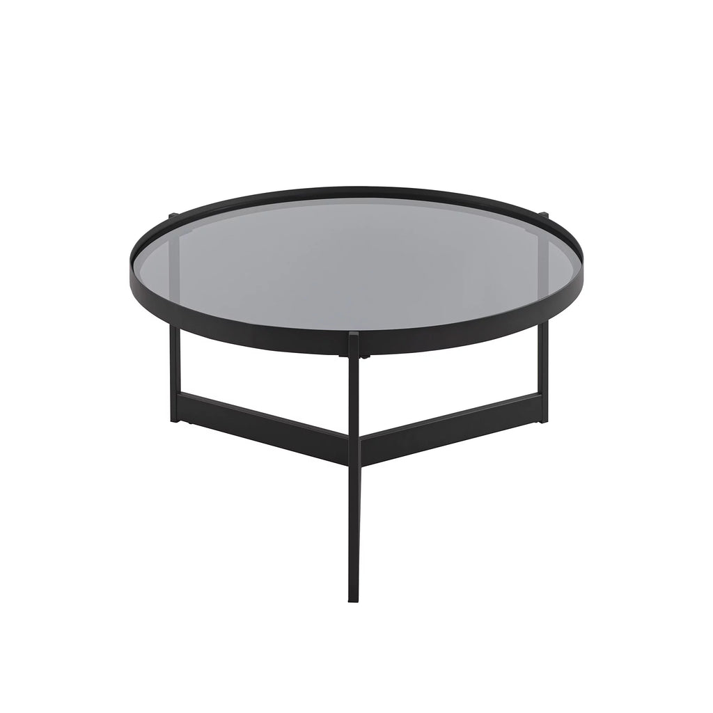 Metal and Glass Coffee Table M129
