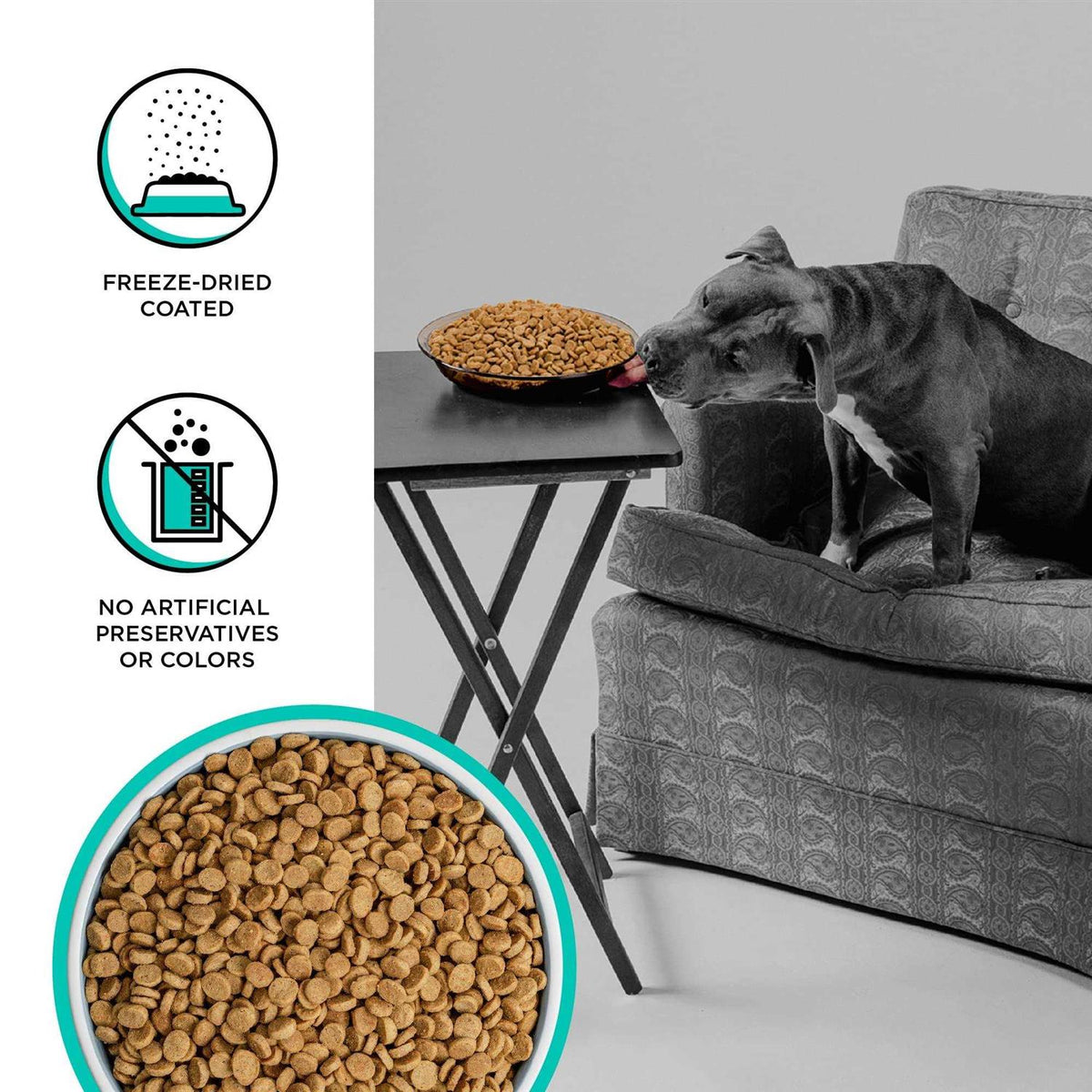 Duck Recipe Dry Dog Food S90249